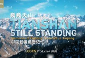 中国新疆反恐纪录片.第3部.巍巍天山