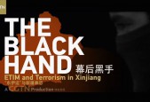 中国新疆反恐纪录片.第2部.幕后黑手